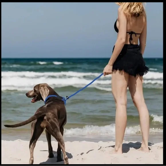 Dog Slip Nylon Leash 🪢 CHOOSE COLOR~ 5 Feet Long Black/Red/Blue - Picture 2 of 8